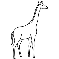 Wall Mural - Minimalist Giraffe Outline with Extended Neck on White