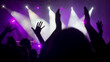 © Damian Pawlos - People hands up enjoying live music in front of the nightclub scene with purple light illumination