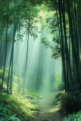 A serene bamboo garden with mist drifting through, sunlight filtering gently between tall, vibrant green stalks, a peaceful path meandering through the lush forest