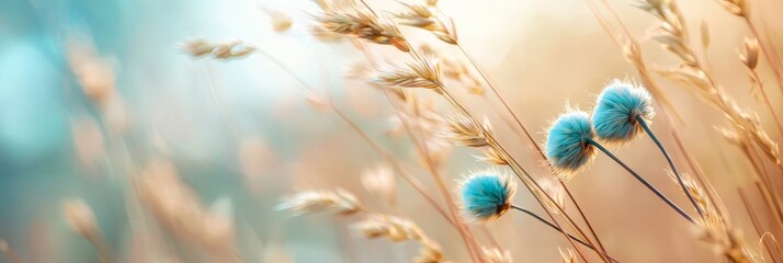 Sticker -  A few blue flowers atop a tall, dry grass field against a backdrop of a blue sky