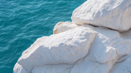  Bird atop white rock by tranquil, blue body of water