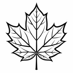 Wall Mural - Single maple leaf, simple and clean line art, black and white, symmetrical with sharp points and detailed veins, minimalistic and elegant, crisp outlines, isolated on a white background, vector