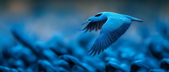 Poster -  A blue bird flies through the air, wings spread, among a group of other birds