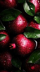 Wall Mural -   A group of red apples with green foliage on top and water droplets on their leaves below