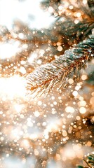 Wall Mural -   A close-up of a pine branch with sunlight filtering through and snowflakes on the branches