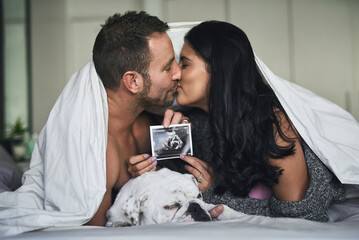 Bed, couple and kiss with sonogram of ultrasound, progress and growth for baby development. Bedroom, parents and pregnant woman with fetus scan for pregnancy, motherhood and bonding with dog in home