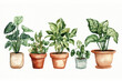 © Erzsbet - Watercolor Indoor Potted Plants