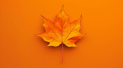 Poster - A single orange maple leaf on an orange background.