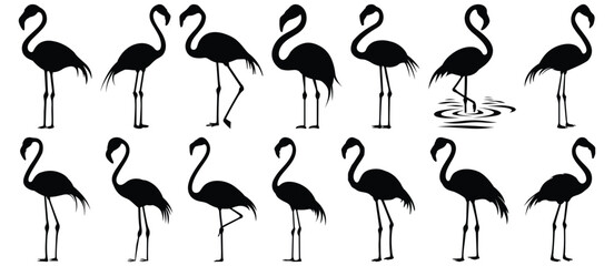 Wall Mural - Flamingo silhouette set vector design big pack of bird illustration and icon