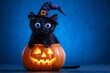 © Thanyarat - Spoopy black cat with wide eyes and a crooked witch hat, sitting on a glowing jack-oâ€™-lantern