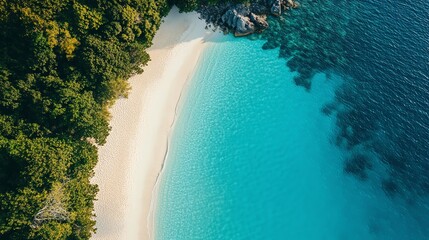 Wall Mural - Aerial view of a tropical beach with white sand and clear turquoise water.