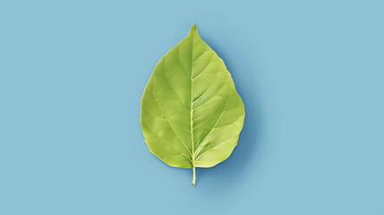 Wall Mural - A single green leaf against a light blue background.