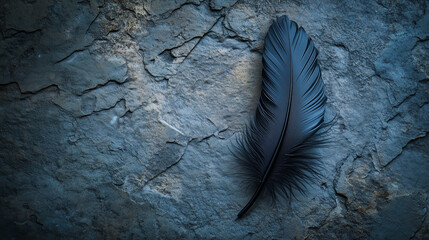 feather on textured background