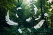 © Danish - White feathers gently floating in the air against a lush green forest background, capturing a moment of lightness and natural elegance in nature.