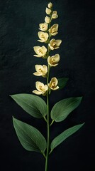 Sticker - White Flowers with Green Leaves on a Dark Background