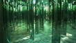 © Paskarik Igor - Infinity mirror installation with a golden, reflective maze of light