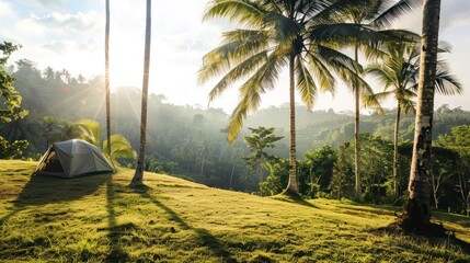 Canvas Print - Camping Under Palm Trees