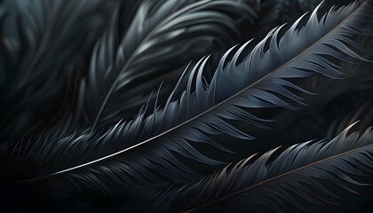 Wall Mural - Elegant Abstract Background of Dark Black Feathers, Perfect for Stunning Wallpaper and Headers in AI Generative Art