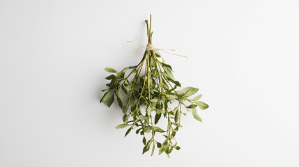 Wall Mural - a bunch of mistletoe tied with twine and accented with holly against an isolated white background