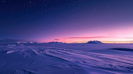 Canvas Print - Arctic Landscape Under Starry Sky