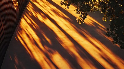Wall Mural - top view sunset shadows casting long lines over a terrace, with warm, golden light creating a soft g