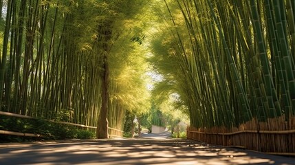 Canvas Print - Bamboo Forest Path