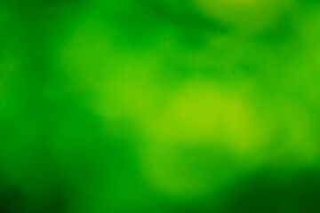 green abstract background