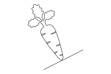 Continuous one line drawing of isolated carrot outline vector art illustration 
