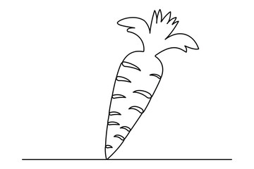 Continuous one line drawing of isolated carrot outline vector art illustration 
