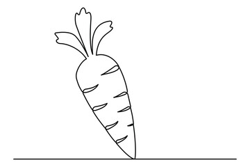 Continuous one line drawing of isolated carrot outline vector art illustration 

