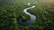 © luck - Aerial View of a River Winding Through the Amazon Rainforest