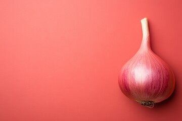 Poster - Photo of Shallot on pink pastel background , Generative AI