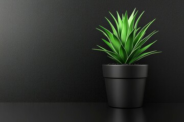 Poster - A Single Green Plant in a Black Pot Against a Black Background