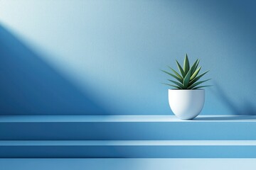 Poster - A Single Plant in a White Pot on Three Blue Steps