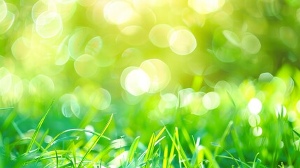 Bright_green_spring_panorama_background