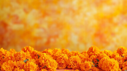 Marigold flowers in vibrant orange, floral arrangement on blurred background with copy space