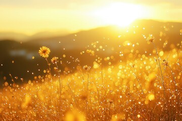 Wall Mural - Golden Meadow with Sunlit Dewdrops and Flowers