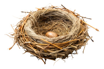 Bird's nest with one egg isolated on transparent background