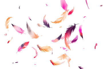 Poster - A whimsical display of colorful feathers gracefully floating in the air against a bright white background