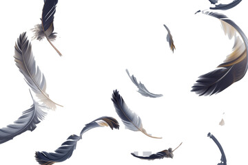 Poster - A whimsical display of colorful feathers gracefully floating in the air against a bright white background