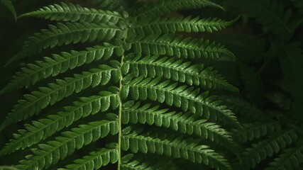 Sticker - green leaves