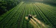 © TheWaterMeloonProjec - Drone nozzle for agricultural spraying operational in fields