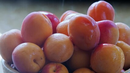 Wall Mural - apricot and water splashes close up