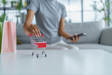 Close-up woman's hand holding shopping cart and smartphone, for online shopping, shopping concept