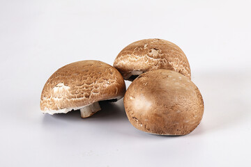 Sticker - Raw brown champignon for cooking