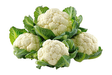 Green vegetable cauliflower for cooking isolated on transparent background.