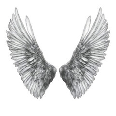 A pair of white angel wings isolated on a black background. transparent background