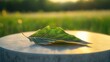 © Shaheen - Dandelion leaf presentation: A jagged dandelion leaf laid flat on a polished concrete podium. The light captures its unique shape and bright green color, with a blurred meadow background.