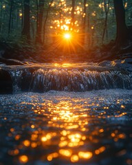 Sticker - Serene Sunset Over Stream in Dense Forest