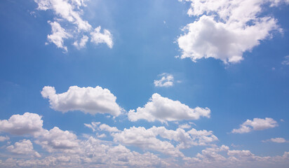 Wall Mural - bottom view sky landscape